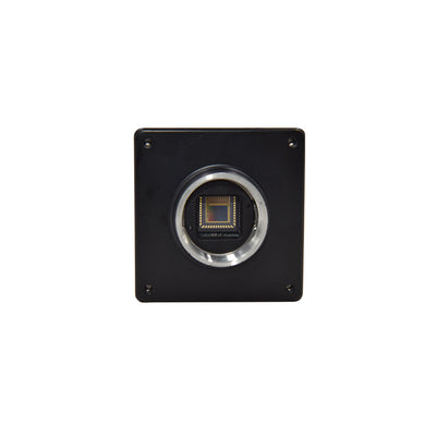 1.3MP 60fps PYTHON1300 Compact & OEM Friendly GigE Board-Level Camera