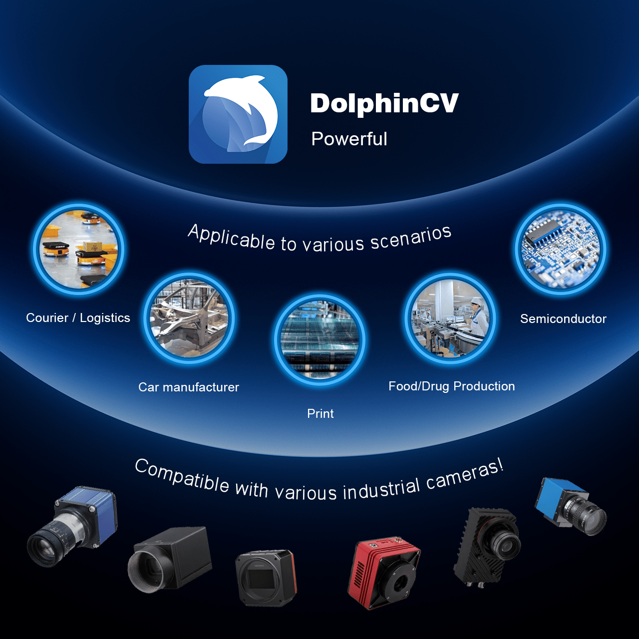 DolphinCV No-Code Machine Vision Software Measurement & Automation ...